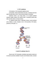 Referāts 'Molekulārās bioloģijas centrālā dogma', 8.