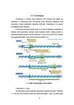 Referāts 'Molekulārās bioloģijas centrālā dogma', 10.