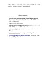 Eseja 'Ievads pasaules kino vēsturē un teorijā. Filmas "Ceļojums uz mēnesi" analīze', 5.