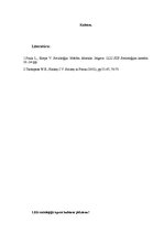 Konspekts 'Kultūra', 1.