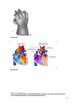 Konspekts 'Holta - Orama sindroms', 10.