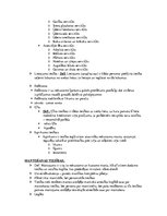 Konspekts 'Latvijas tiesību vēsture. Krievu privāttiesības', 6.