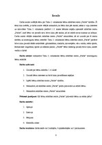 Referāts 'Bērnu attīstības centri', 4.