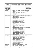 Referāts 'Bērnu attīstības centri', 19.