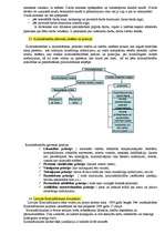 Konspekts 'Tiesību pamati', 23.