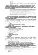 Konspekts 'Tiesību pamati', 29.