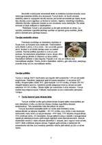 Referāts 'Turcija', 8.