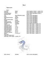 Referāts 'Smiltene', 15.
