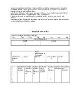 Prakses atskaite 'Atskaite par agrīnās bērnības pedagoģisko praksi', 6.