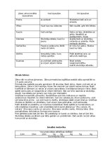 Prakses atskaite 'Atskaite par agrīnās bērnības pedagoģisko praksi', 7.