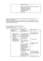 Prakses atskaite 'Atskaite par agrīnās bērnības pedagoģisko praksi', 12.