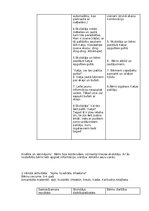 Prakses atskaite 'Atskaite par agrīnās bērnības pedagoģisko praksi', 13.