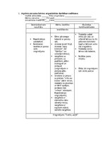 Prakses atskaite 'Atskaite par agrīnās bērnības pedagoģisko praksi', 16.