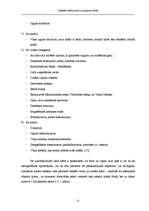 Diplomdarbs 'Simbolu sistēma jūras navigācijas kartēs', 31.