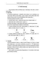 Diplomdarbs 'Simbolu sistēma jūras navigācijas kartēs', 33.