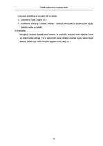 Diplomdarbs 'Simbolu sistēma jūras navigācijas kartēs', 34.