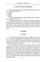 Diplomdarbs 'Simbolu sistēma jūras navigācijas kartēs', 35.