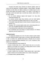 Diplomdarbs 'Simbolu sistēma jūras navigācijas kartēs', 38.