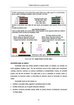 Diplomdarbs 'Simbolu sistēma jūras navigācijas kartēs', 42.