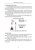 Diplomdarbs 'Simbolu sistēma jūras navigācijas kartēs', 44.