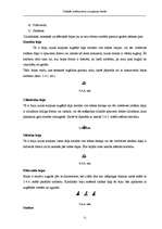 Diplomdarbs 'Simbolu sistēma jūras navigācijas kartēs', 71.