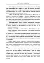 Diplomdarbs 'Simbolu sistēma jūras navigācijas kartēs', 81.