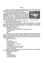 Konspekts 'Printeri un skeneri', 1.