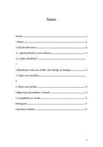 Referāts 'Gandrīz ideāls dzīves veids', 2.