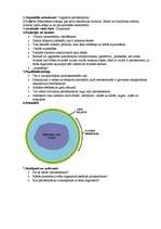 Referāts 'Peroksisomas', 1.