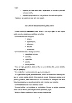 Referāts 'Uztvere, uztveres mehānismi. Uztveres stereotipi', 5.