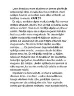 Eseja 'Radošais darbs literatūrā "Rēta"', 2.