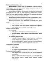 Konspekts 'Reklāmas vadīšanas vide', 1.