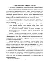 Referāts 'Uzņēmuma gada pārskatu sastāvs un to sastādīšanas principi', 4.