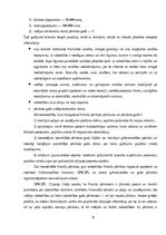 Referāts 'Uzņēmuma gada pārskatu sastāvs un to sastādīšanas principi', 8.