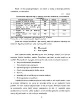 Referāts 'Uzņēmuma gada pārskatu sastāvs un to sastādīšanas principi', 19.