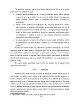 Referāts 'Uzņēmuma gada pārskatu sastāvs un to sastādīšanas principi', 20.