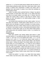 Referāts 'Grāmatu iespiešana un izplatība no 15. līdz 17.gadsimtam', 3.