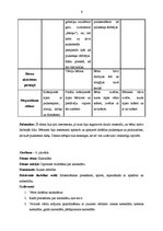 Prakses atskaite 'Integrētā mācību prakse pirmsskolā', 6.