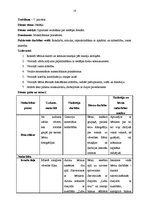 Prakses atskaite 'Integrētā mācību prakse pirmsskolā', 10.