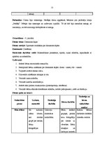 Prakses atskaite 'Integrētā mācību prakse pirmsskolā', 13.