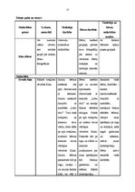 Prakses atskaite 'Integrētā mācību prakse pirmsskolā', 17.