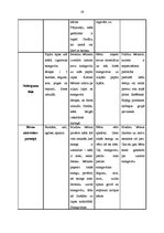 Prakses atskaite 'Integrētā mācību prakse pirmsskolā', 19.