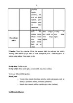 Prakses atskaite 'Integrētā mācību prakse pirmsskolā', 20.