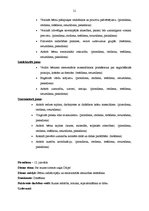 Prakses atskaite 'Integrētā mācību prakse pirmsskolā', 21.