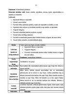 Prakses atskaite 'Integrētā mācību prakse pirmsskolā', 32.