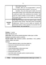 Prakses atskaite 'Integrētā mācību prakse pirmsskolā', 36.