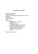 Biznesa plāns 'SIA "Komforts"', 2.