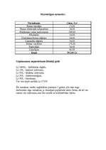 Biznesa plāns 'SIA "Komforts"', 10.