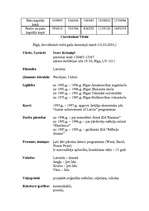 Biznesa plāns 'SIA "Komforts"', 19.