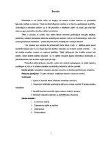 Referāts 'Cilvēka rokraksts un rakstura atbilstība tam', 5.